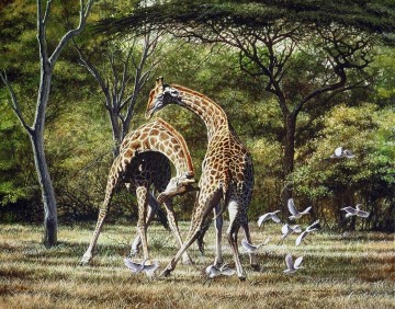 duel des girafes et des oiseaux Peinture à l'huile